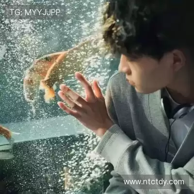 魏维戈